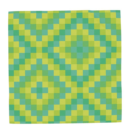 Scarf Wrap or Shawl